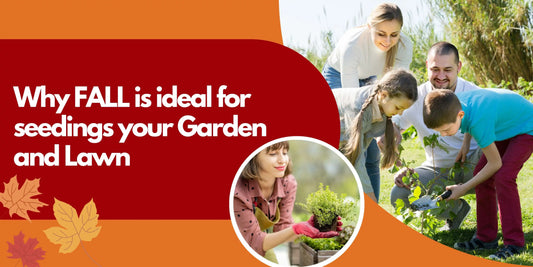 Why-Fall-is-Ideal-for-Seeding-Your-Garden-and-Lawn Green Garden Vibes Canada