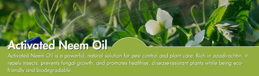 Neem Oil