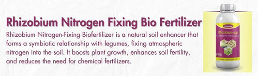 Rhizobium Nitrogen Fixing Biofertilizer
