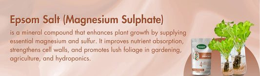 GGV Epsom Salt