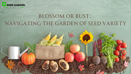 Blossom-or-Bust-Navigating-the-Garden-of-Seed-Variety Green Garden Vibes Canada