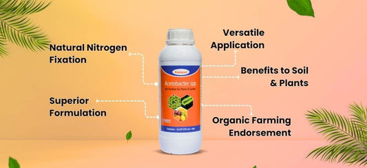 Acetobacter Bio Fertilizer
