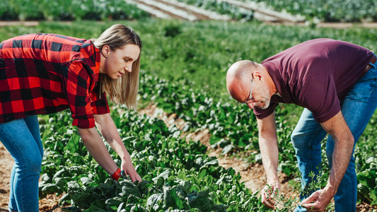 Guide-to-Organic-Fertilizers-Boost-Your-Garden-s-Health-Naturally-with-Green-Garden-Vibes Green Garden Vibes Canada