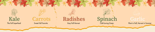 Top-10-Best-Fall-Plants-for-Fall-Gardening-in-Canada Green Garden Vibes Canada