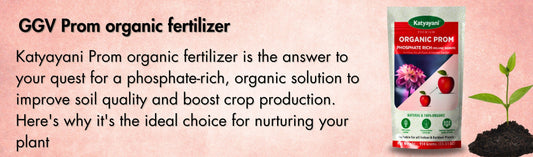 PROM Organic Fertilizer