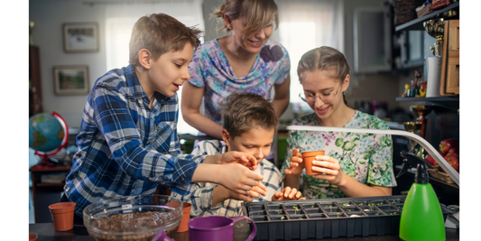 Hydroponic-gardening-Be-Future-Ready Green Garden Vibes Canada