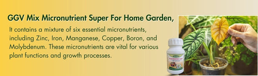 Mix Micronutrient Super