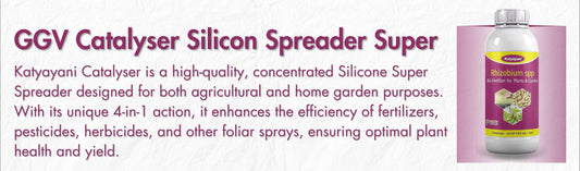 Catalyser Silicon Super Spreader