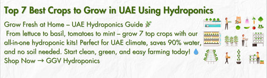 Top-7-Crops-to-Grow-in-Canada-Using-Hydroponics-2025-Edition Green Garden Vibes Canada