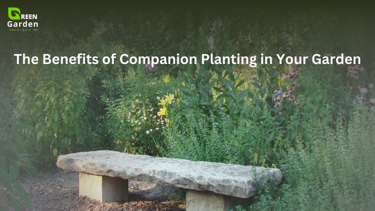The-Benefits-of-Companion-Planting-in-Your-Garden Green Garden Vibes Canada
