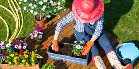 How-to-Maximize-Plant-Growth-with-the-Best-Fertilizers-and-Treatments-in-Canada Green Garden Vibes Canada