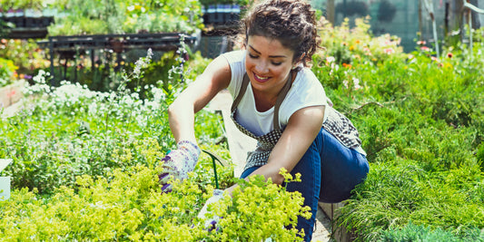 How-to-Choose-the-Right-Plant-Care-Products-for-Your-Garden-in-Canada Green Garden Vibes Canada