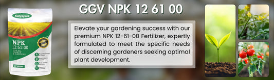 NPK 12:61:00