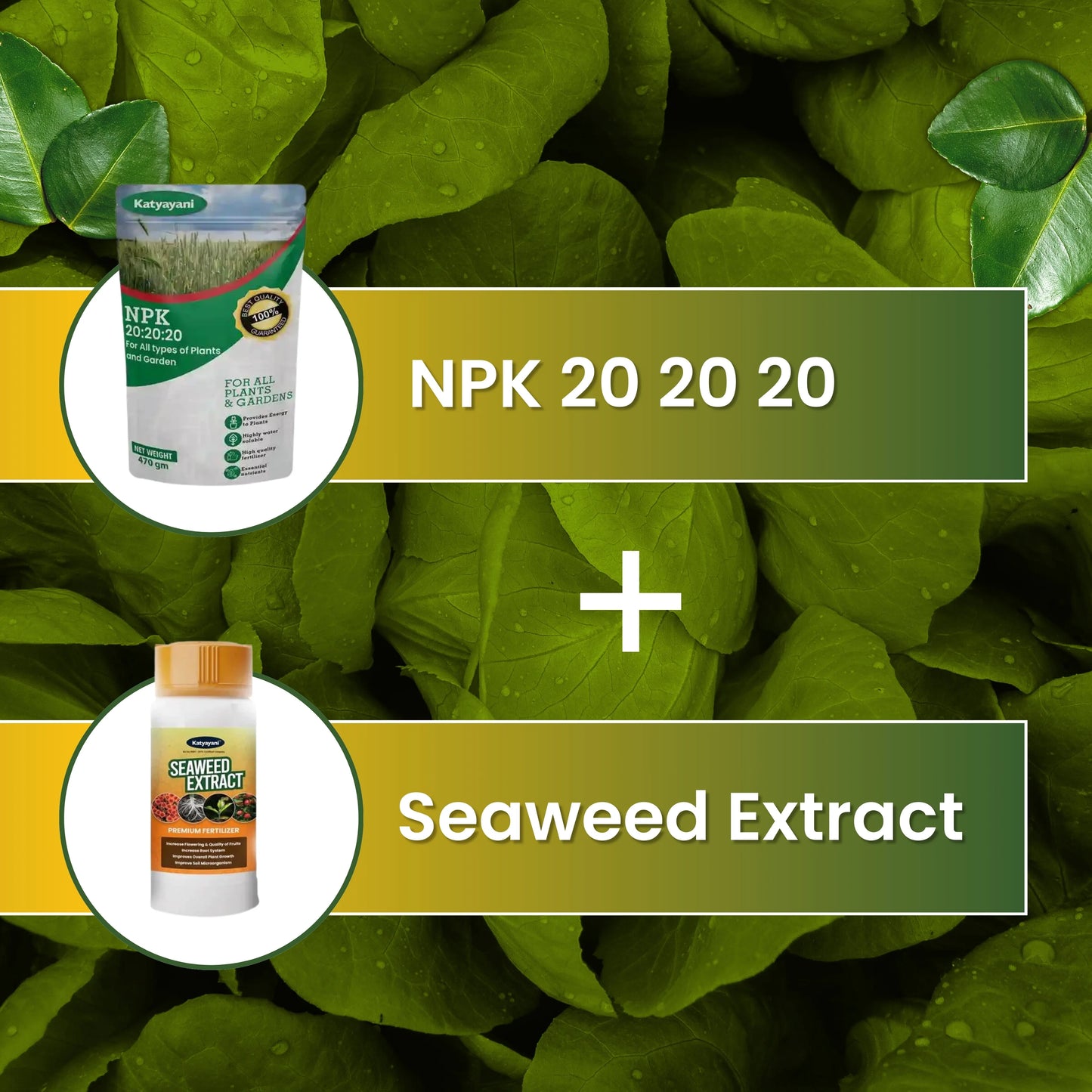 Green garden vibes 20 20 20 fertilizer and seaweed extract
Best quality 20 20 20 fertilizer and seaweed extract