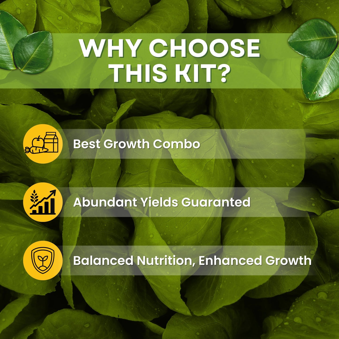 Green garden vibes 20 20 20 fertilizer and seaweed extract
Best quality 20 20 20 fertilizer and seaweed extract