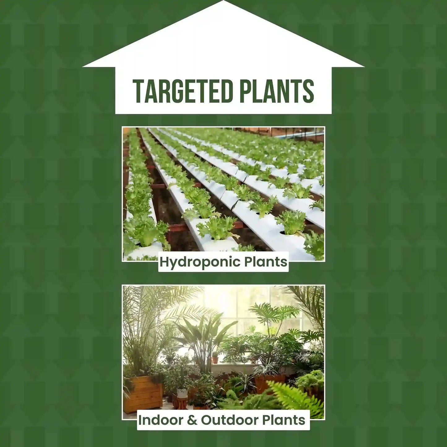 Green garden vibes ph up solution
Best quality ph up solution