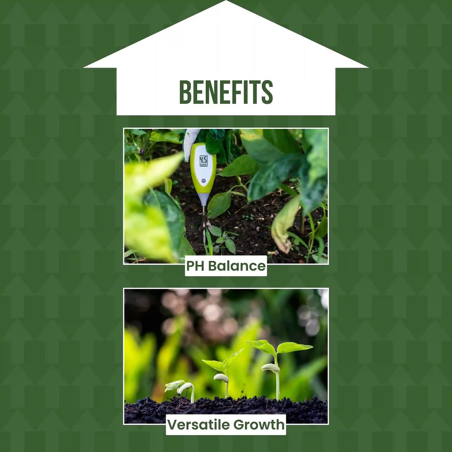 Green garden vibes ph up solution
Best quality ph up solution