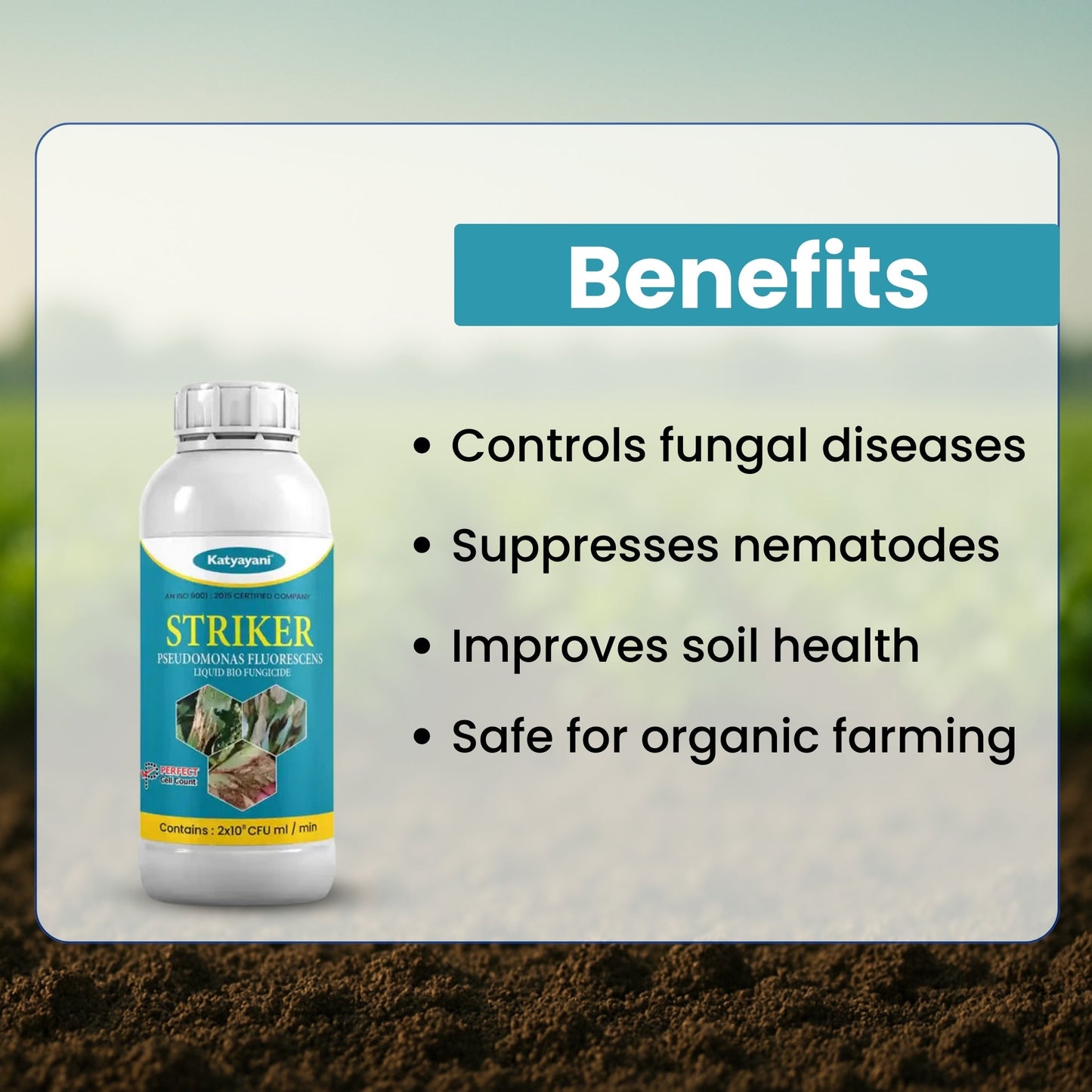 Katyayani Pseudomonas Fluorescens Bio Fungicide – Organic Plant Disease Controller for Sustainable Farming | Buy 1 Get 2 Free GGV canada