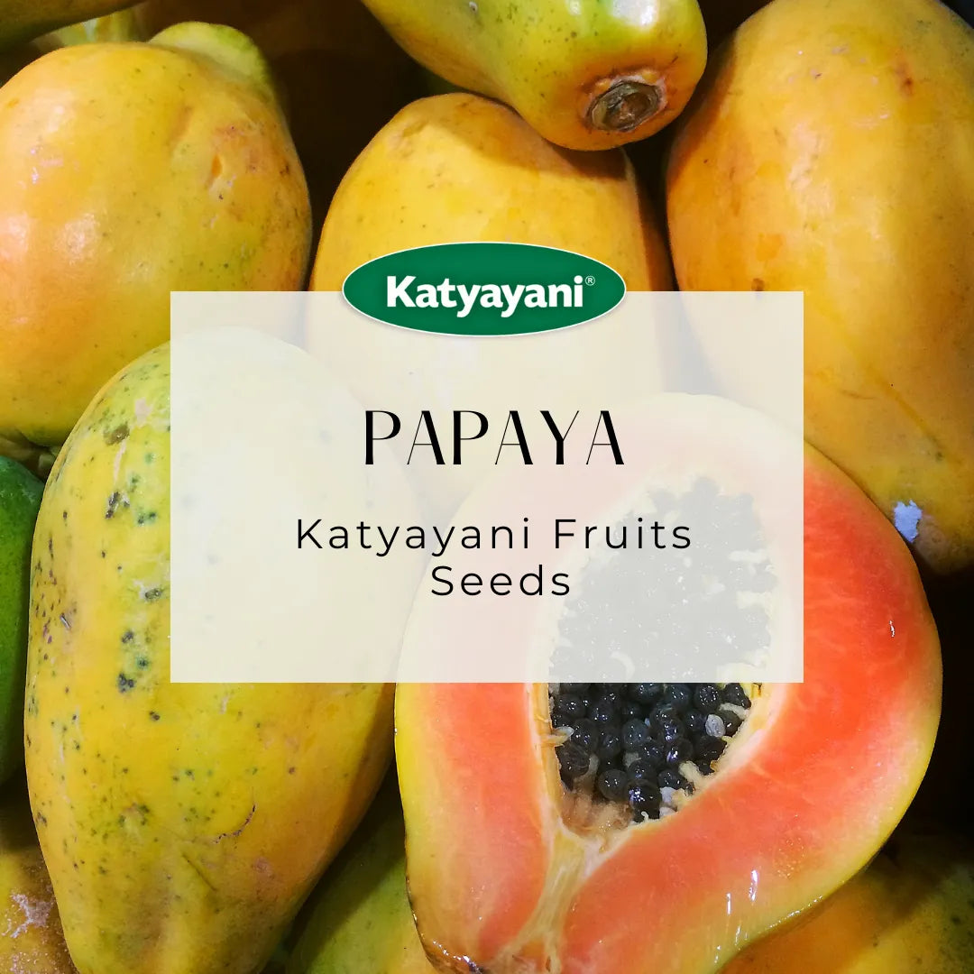 GGV Papaya Fruit Seeds (100 seeds/packet)