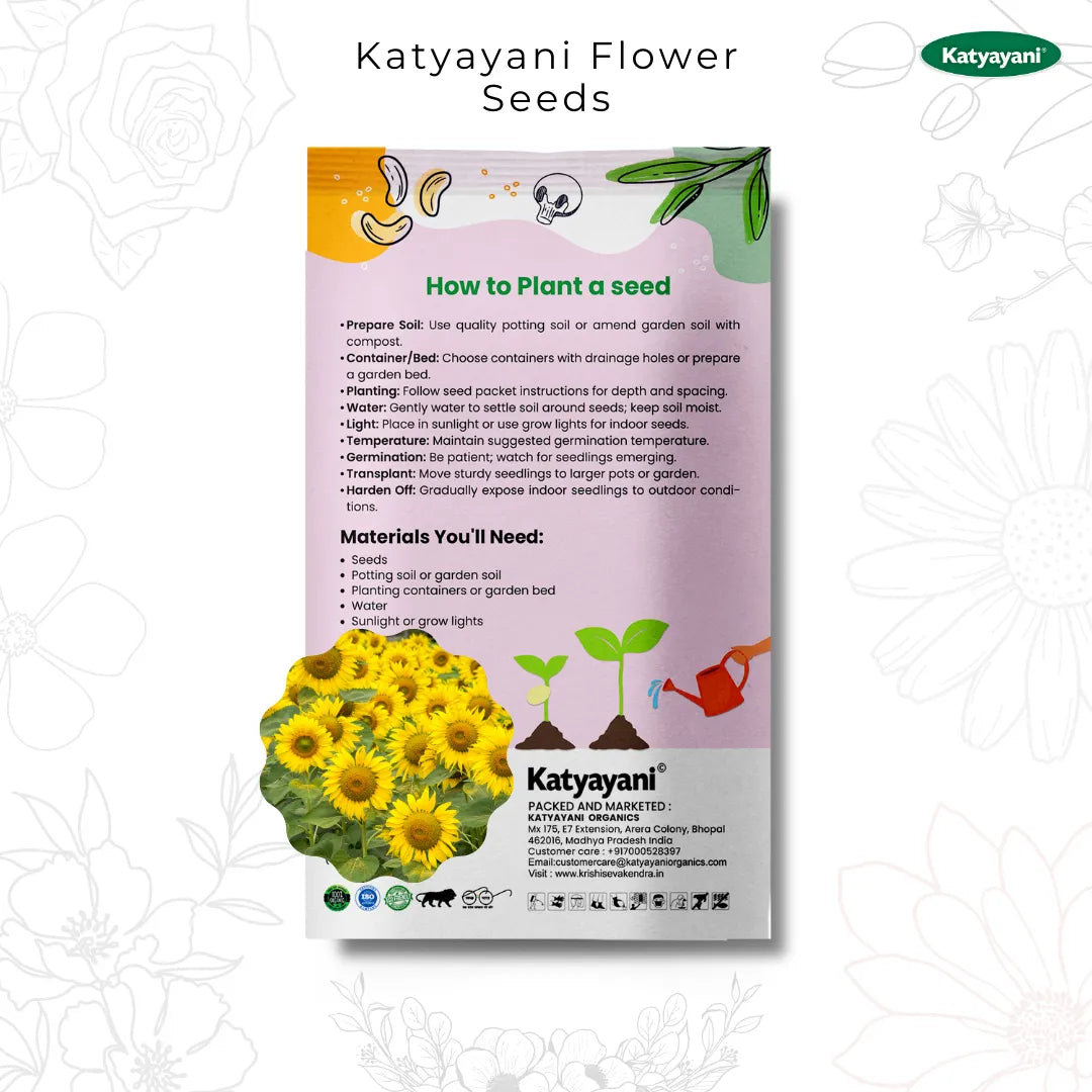 GGV Sunflower Sungold Flowering Seeds