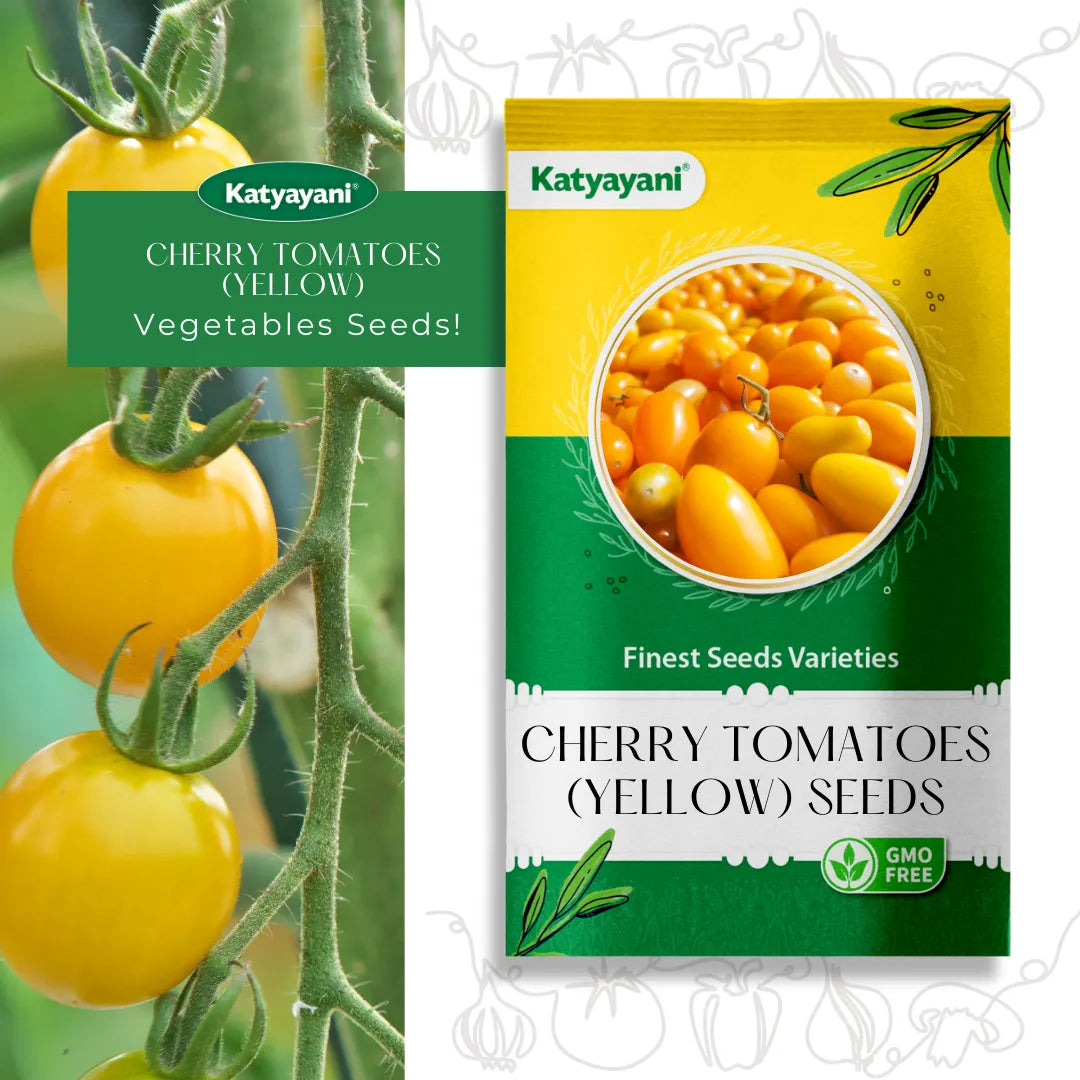 GGV Cherry tomatoes(yellow) Vegetable Seeds