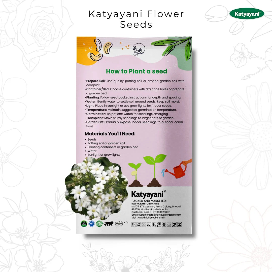 GGV Gypsophila Flowering Seeds