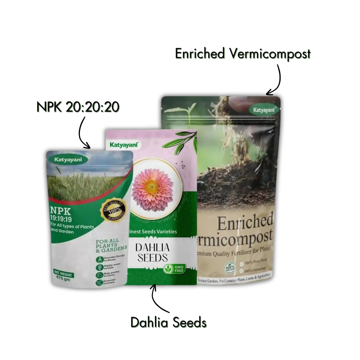 GGV Dahlia Grow It Yourself Kit Green Garden Vibes Canada