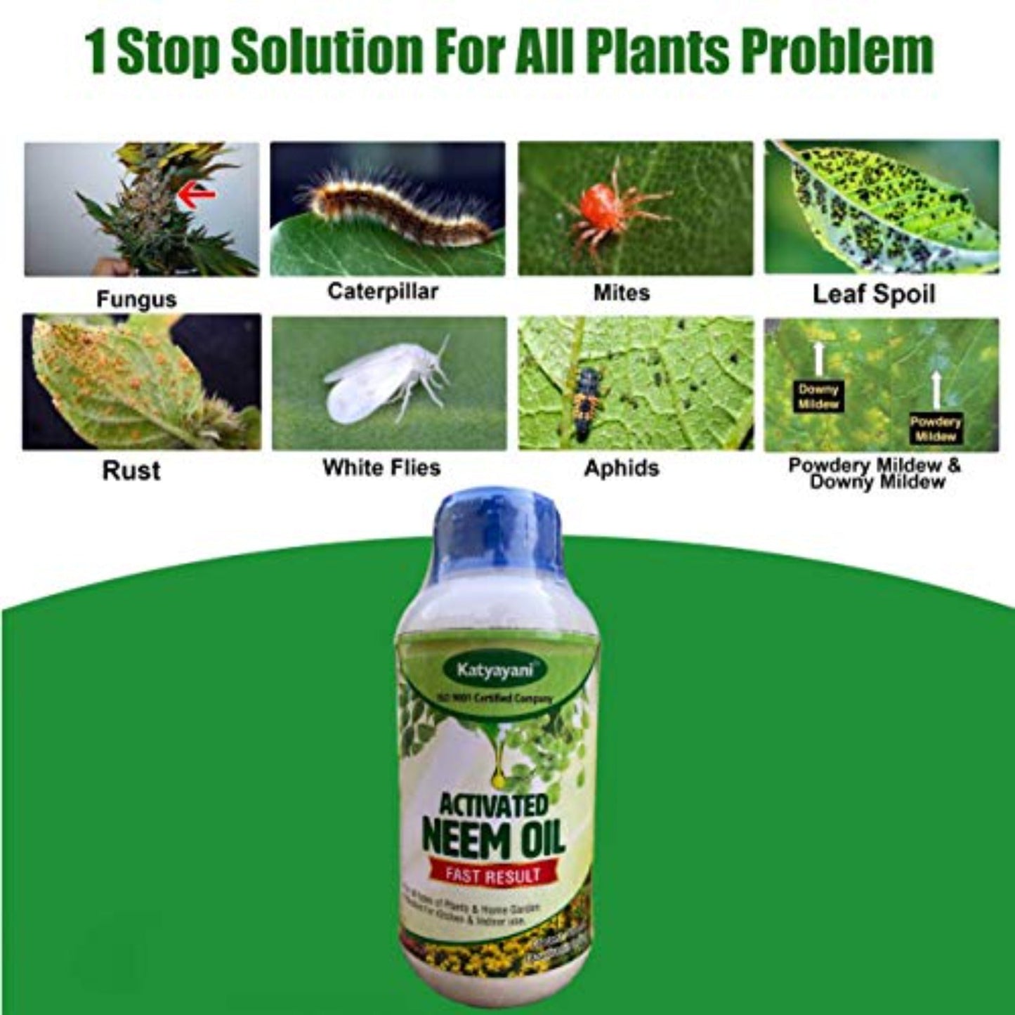 GGV NPK 19 19 19 Plant Food Fertilizer with Booster for Plants & Home Garden Katyayani Organics