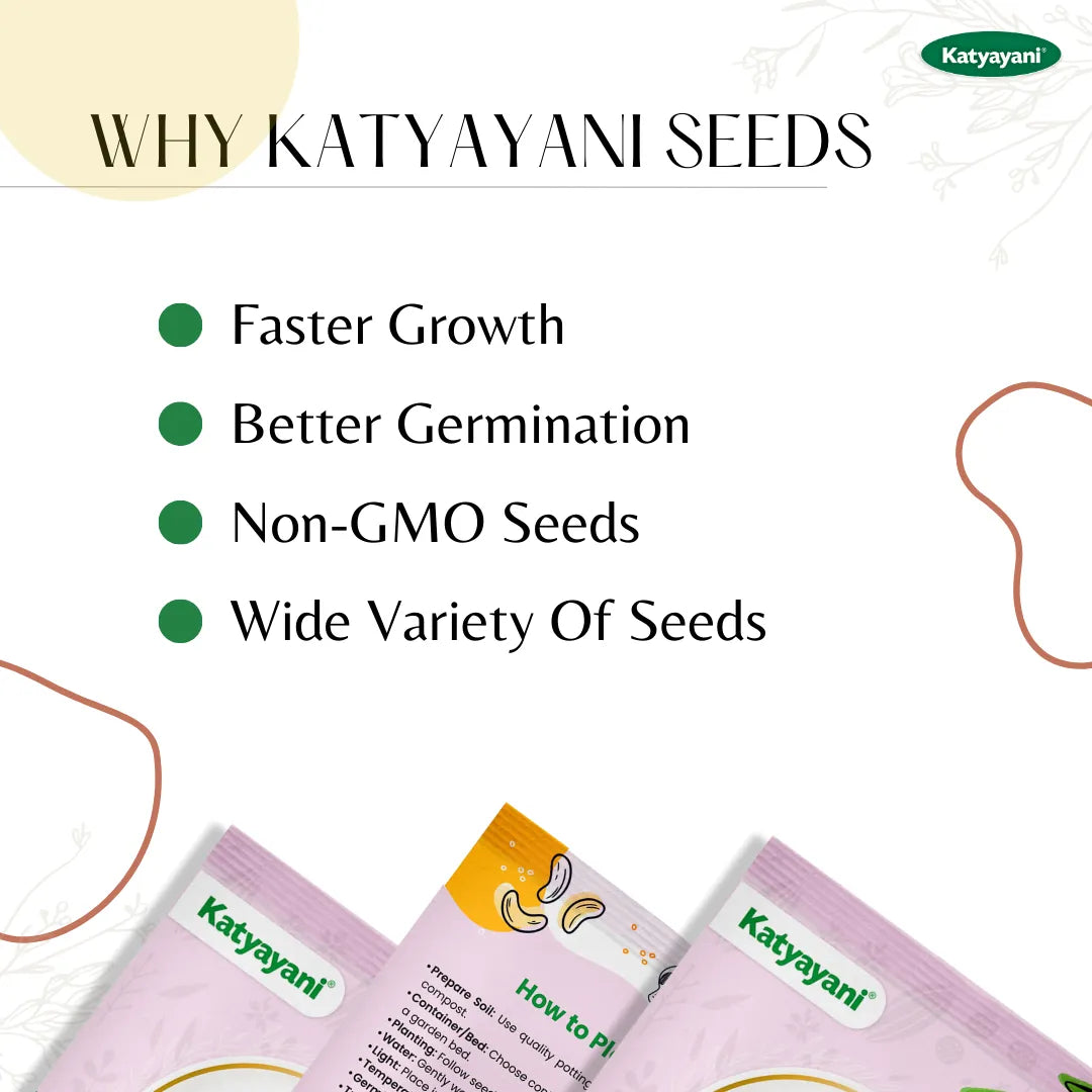 GGV Sunflower Sungold Flowering Seeds