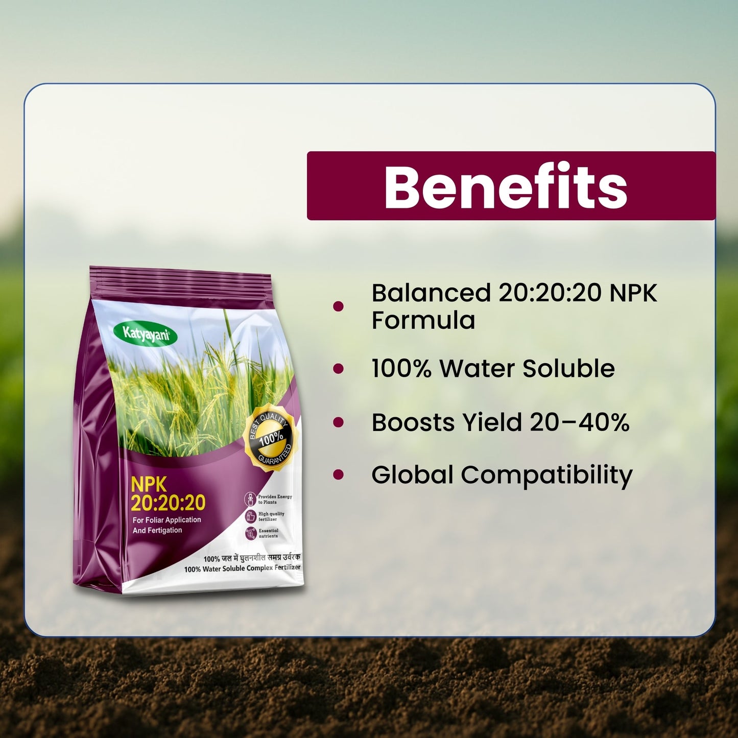 GGV NPK 20 20 20 fertiliser for plants Green Garden Vibes Canada