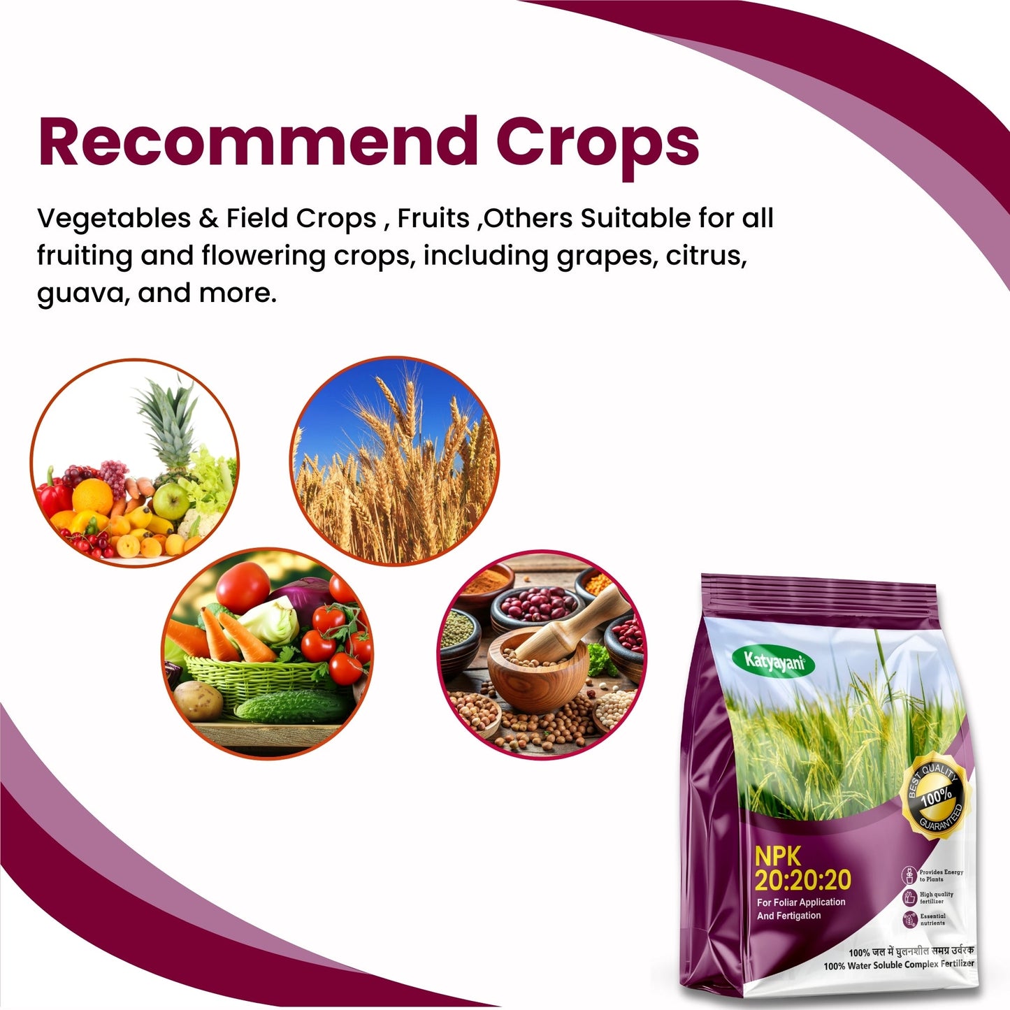 GGV NPK 20 20 20 fertiliser for plants Green Garden Vibes Canada