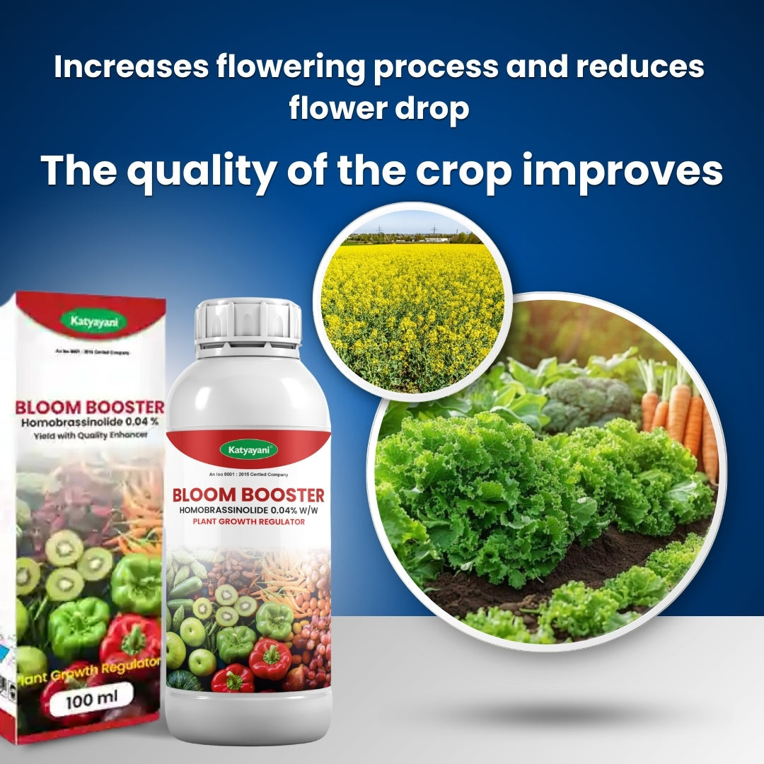 GGV Bloom Booster Triple Pack β Buy 1, Get 2 Free | Homobrassinolide 0.04% GGV canada