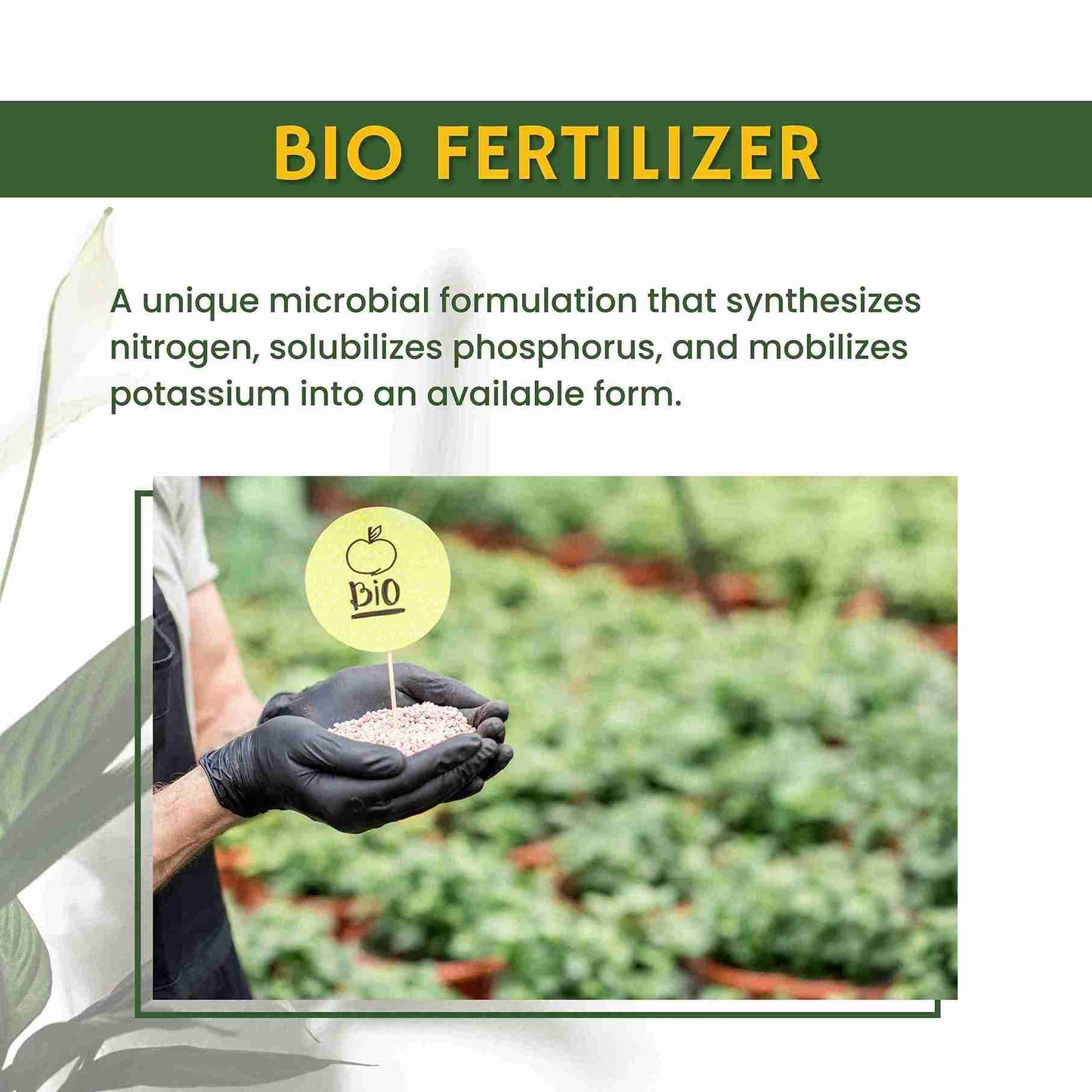 Green garden vibes bio npk consortia fertilizer
Best quality bio npk consortia fertilizer
