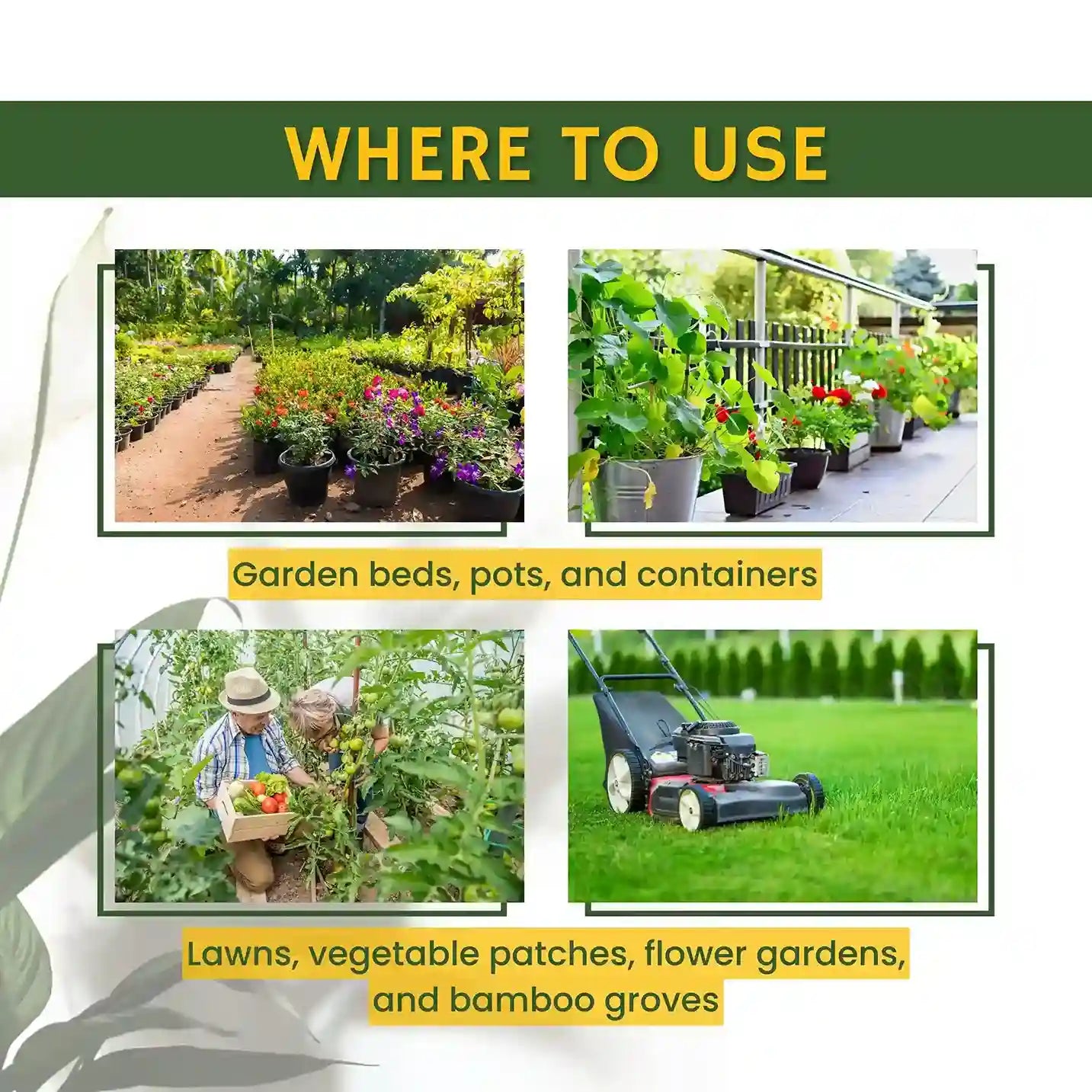 Green garden vibes bio npk consortia fertilizer
Best quality bio npk consortia fertilizer