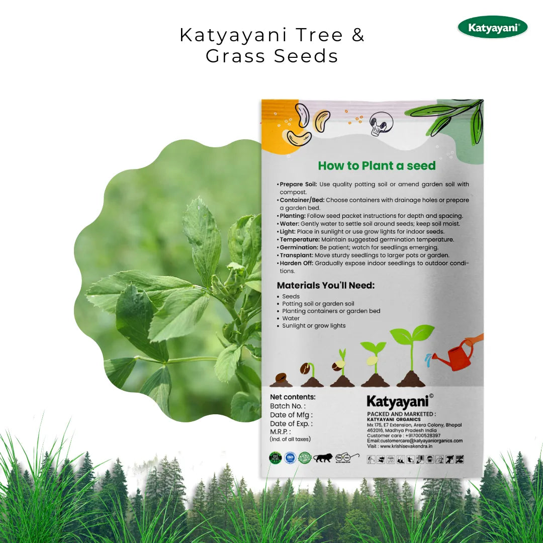 GGV Alfalfa (Lucerne grass) Tree and Grass Seeds