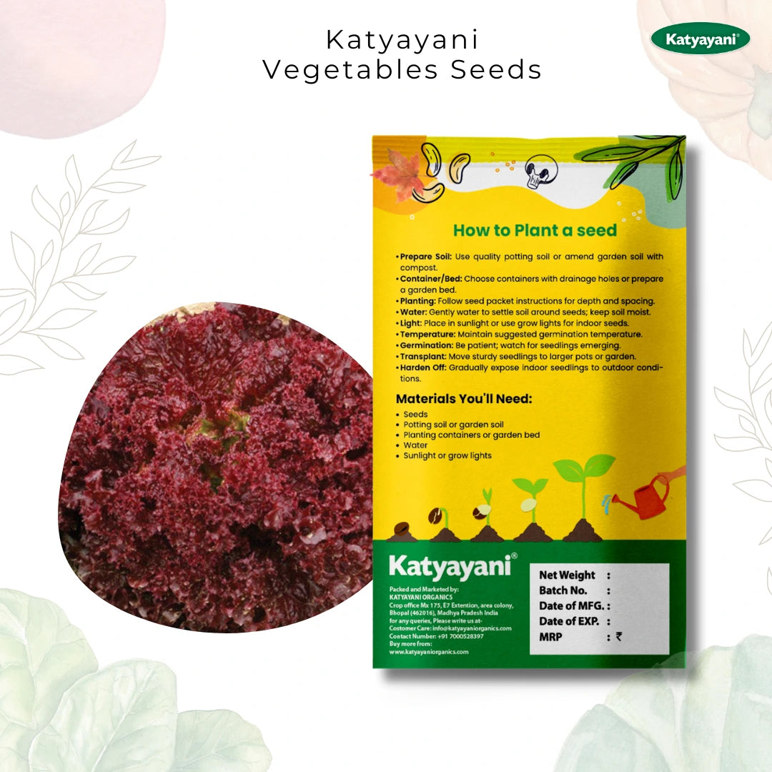 GGV Lettuce Black Rose Vegetable Seeds