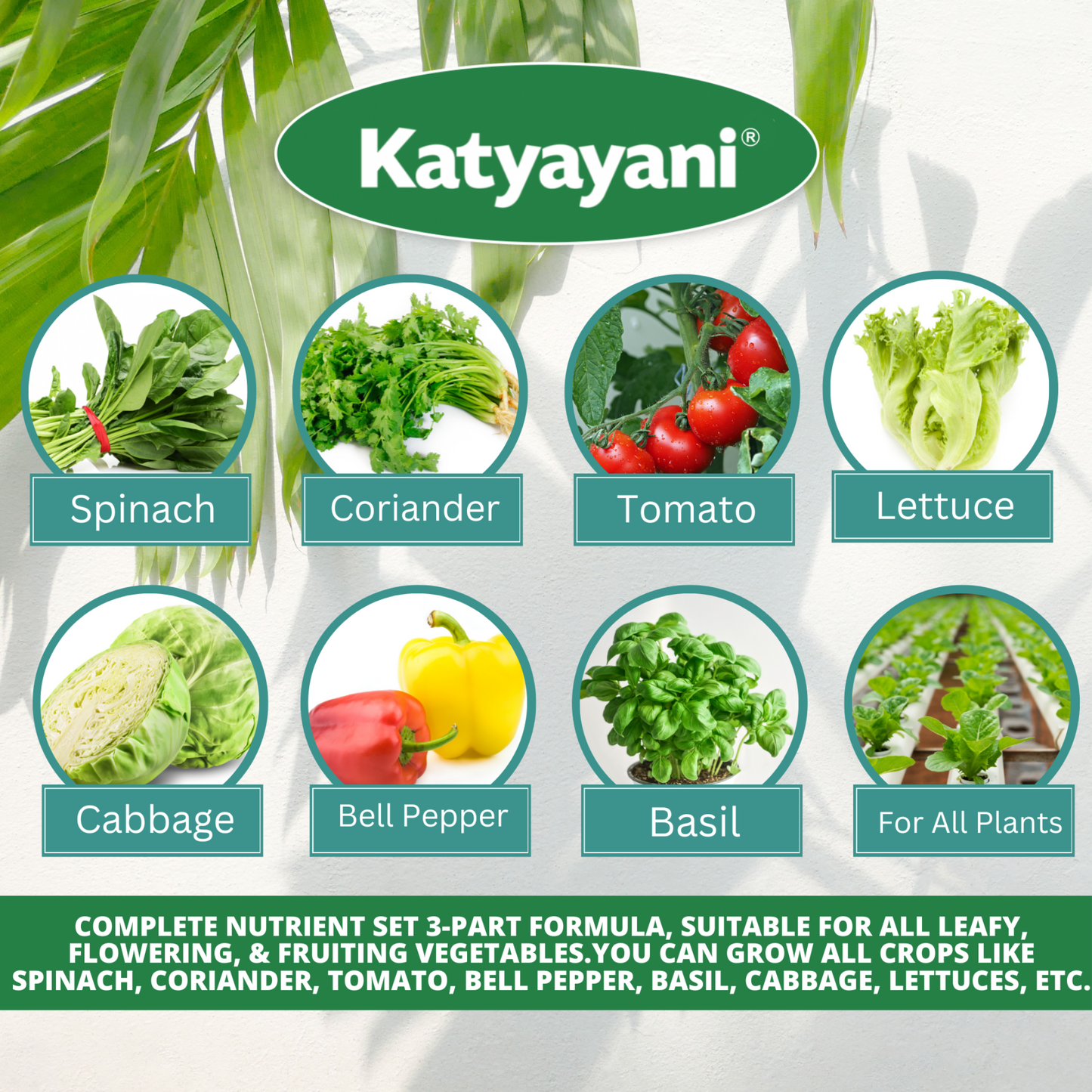 Hydroponics All in 1 Combo Green Garden Vibes Hydroponics
