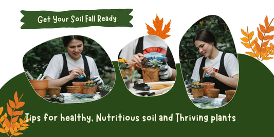 Get Your Soil Fall-Ready: Tips for Healthy, Nutritious Soil and Thriving Plants