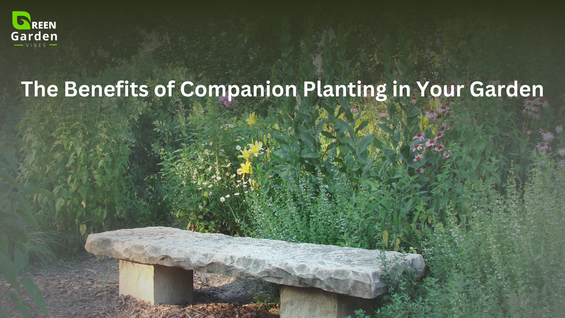 Maximize Your Garden: Benefits of Companion Planting