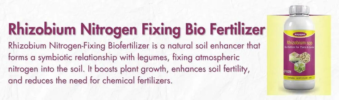 Rhizobium Nitrogen Fixing Biofertilizer