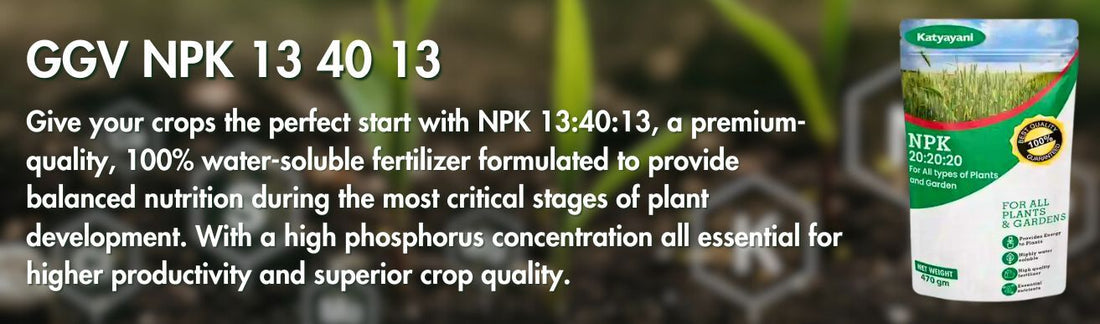 NPK 13:40:13