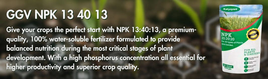 NPK 13:40:13