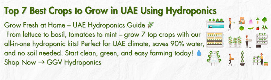 Top-7-Crops-to-Grow-in-Canada-Using-Hydroponics-2025-Edition Green Garden Vibes Canada