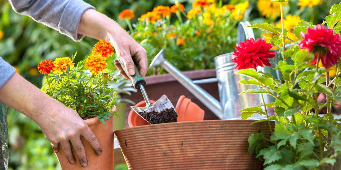 The-Ultimate-Guide-to-Eco-Friendly-Plant-Care-Products-for-Sustainable-Gardening Green Garden Vibes Canada