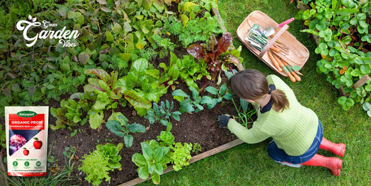 Discover the Benefits of Organic PROM for Organic Gardening