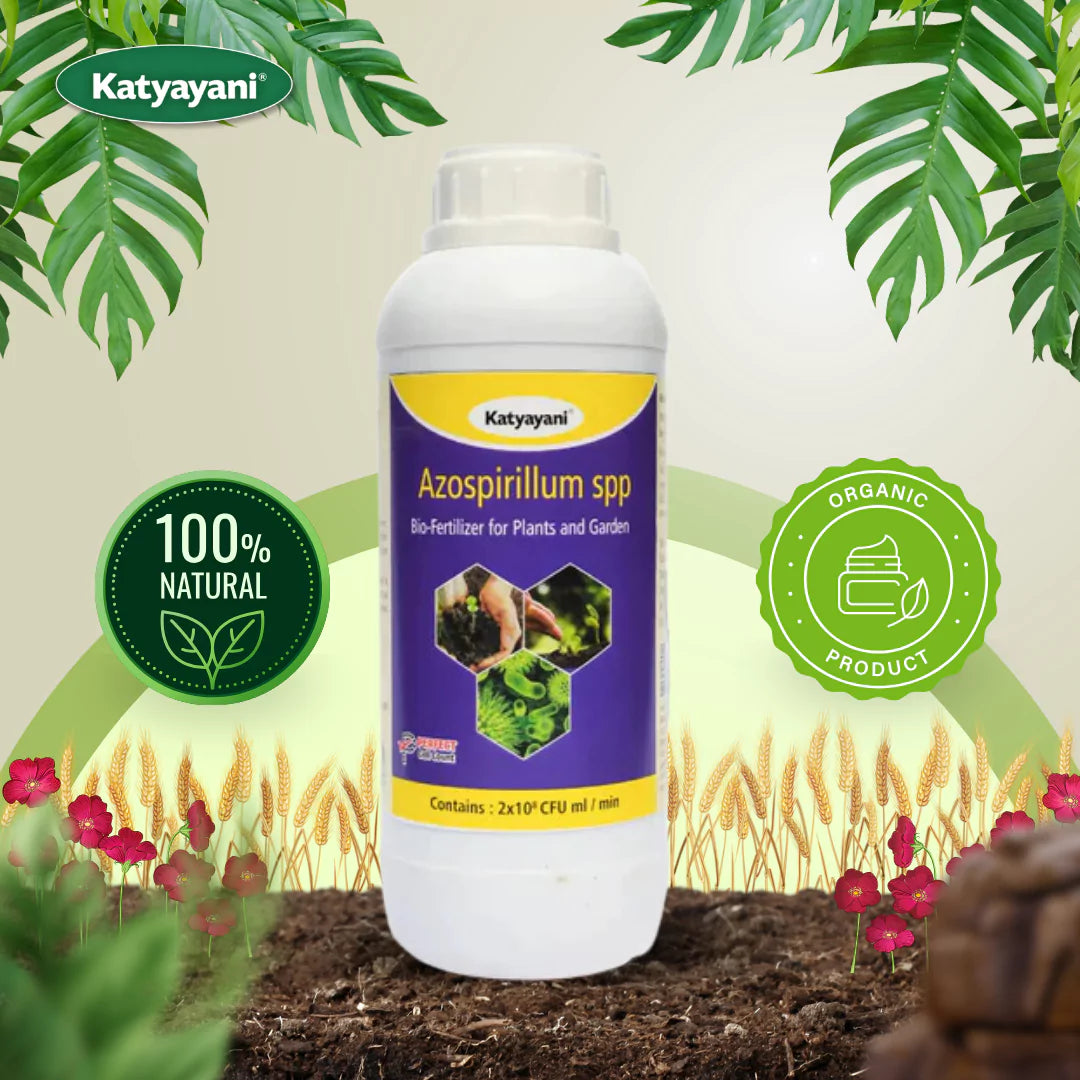 Azospirillum Bio Fertilizer