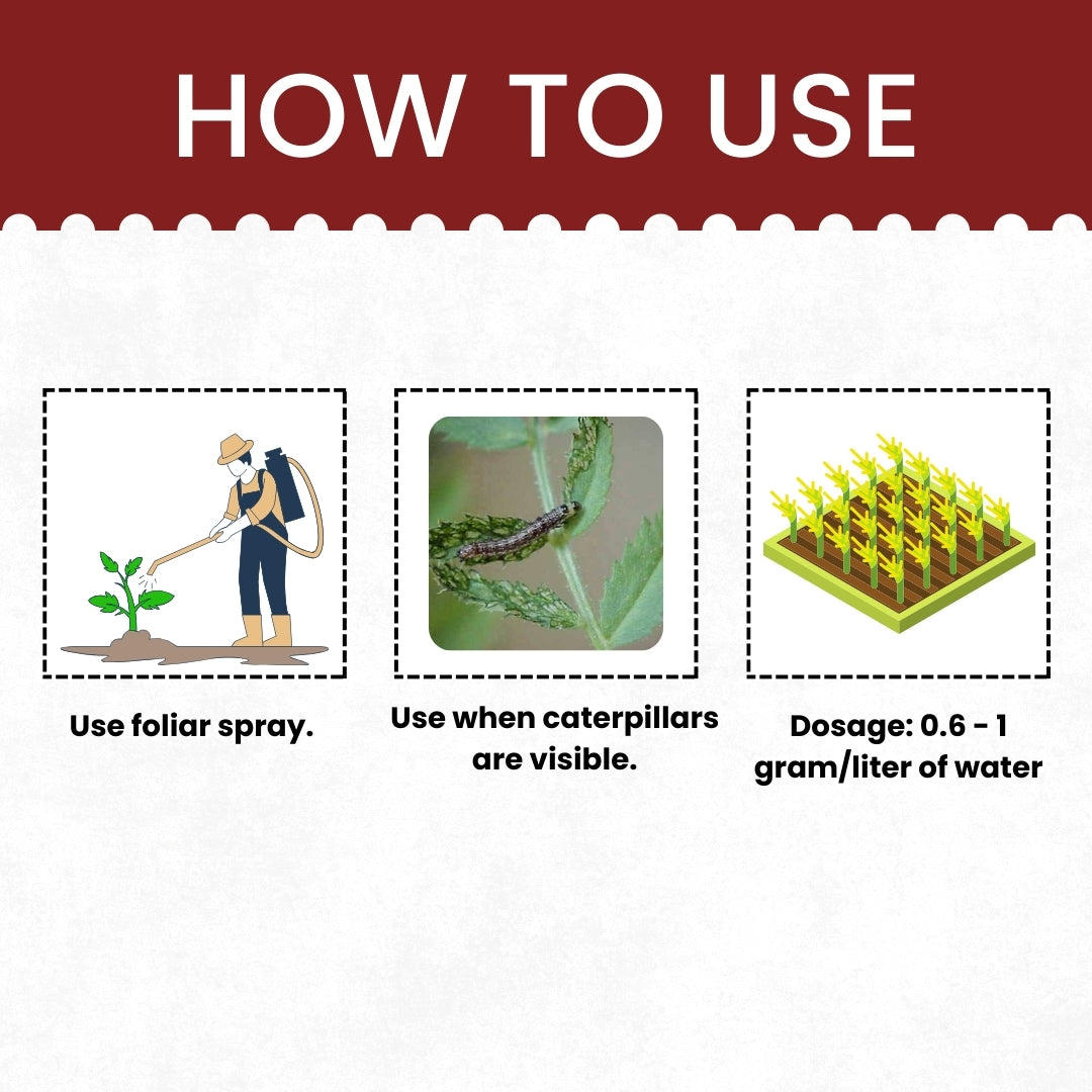 Katyayani EMA 5 | Crop Care Solution with Emamectin Benzoate 5% SG (Water-Soluble Granules) GGV canada