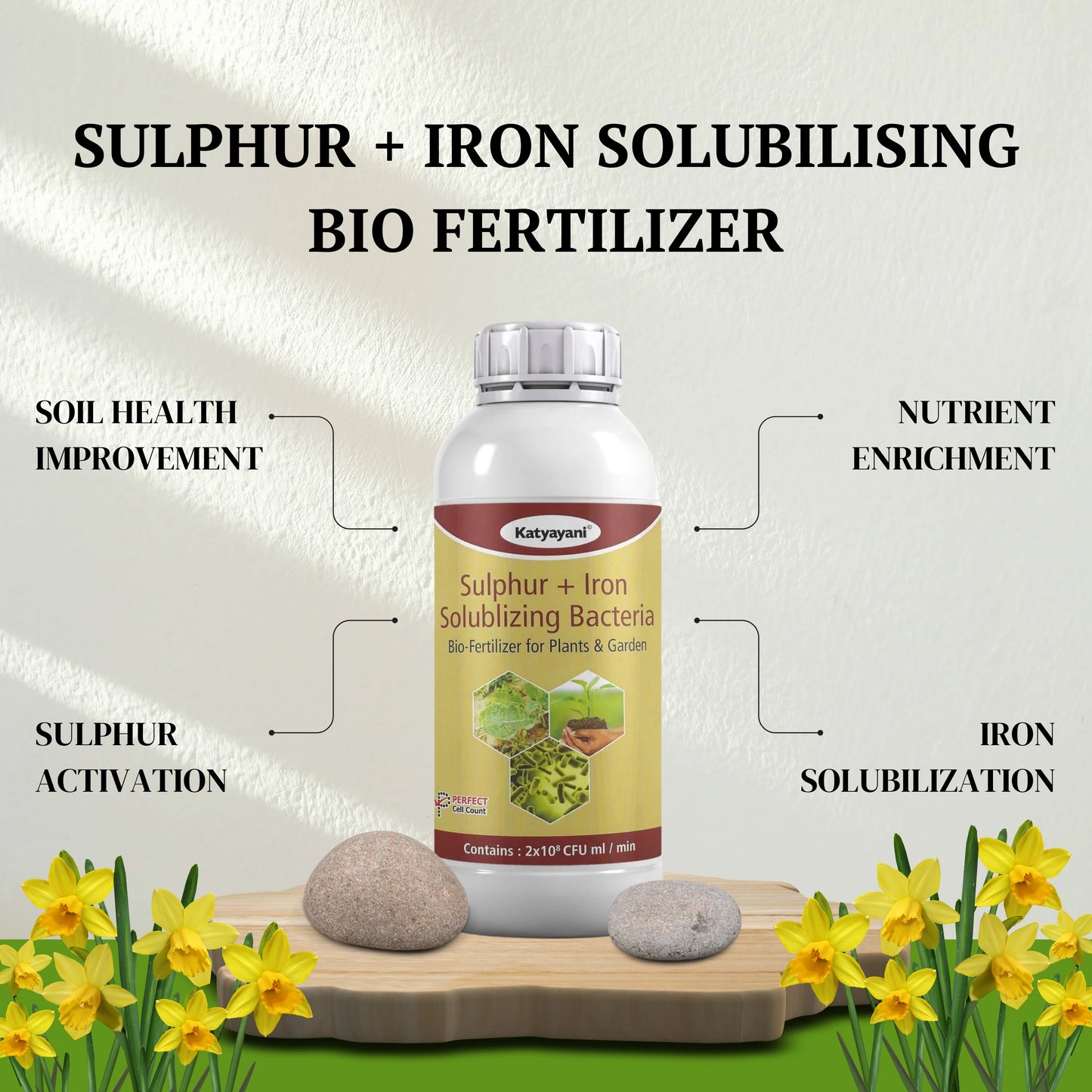 Sulphur + Iron Solubilising Bio Fertilizer