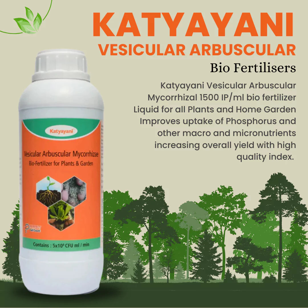 Vesicular Arbuscular Mycorrhiza | Bio fertilizer