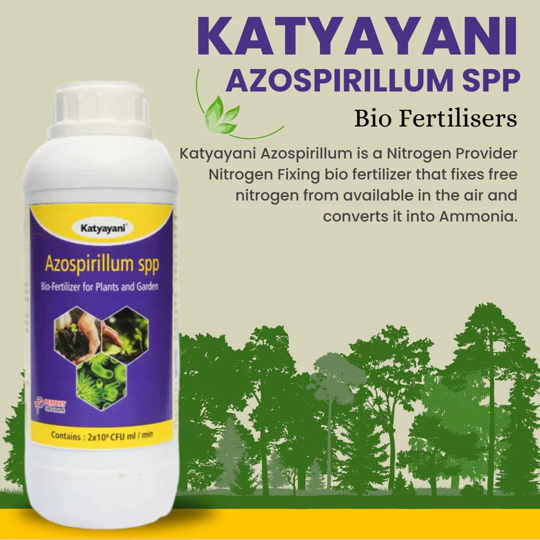 Azospirillum Bio Fertilizer